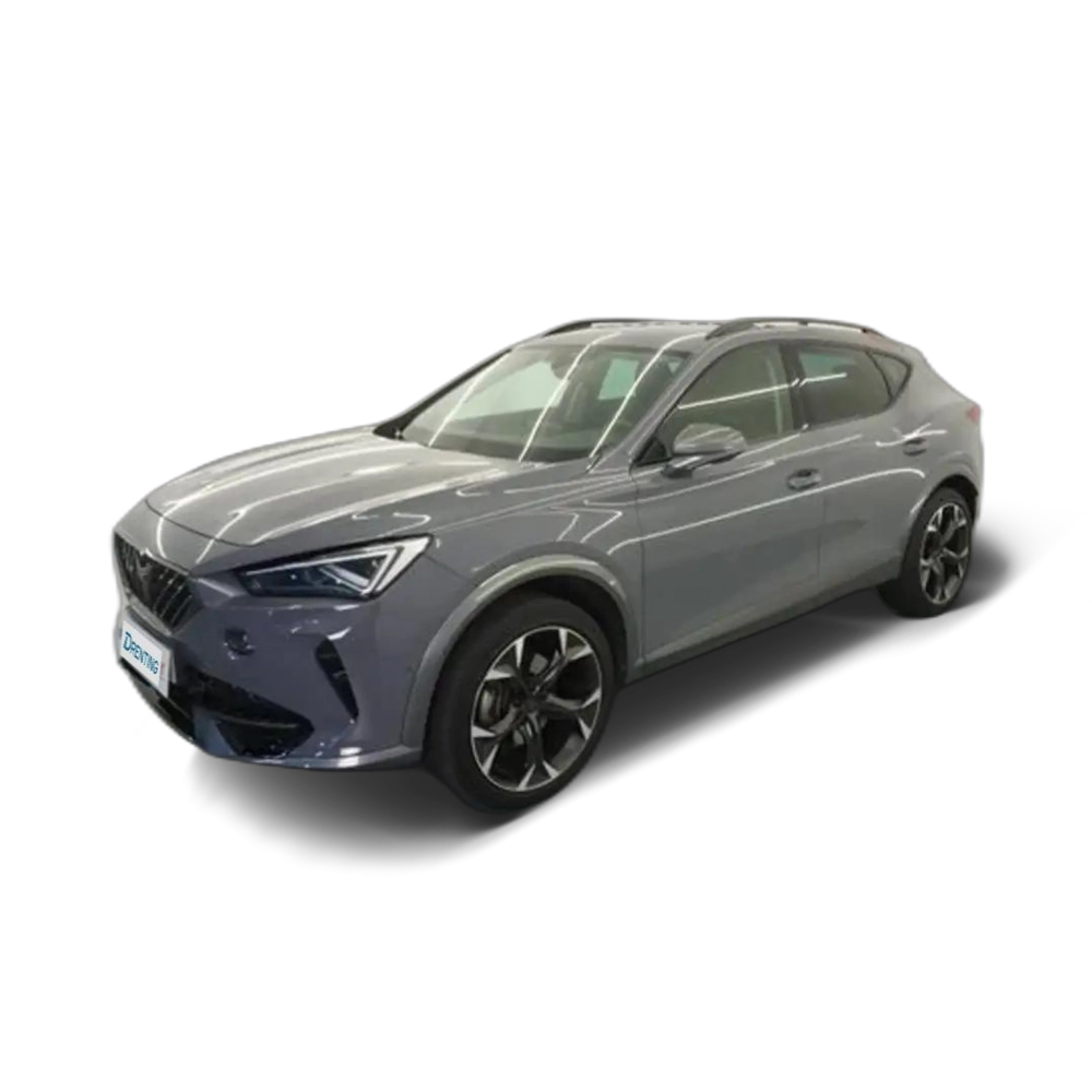 CUPRA Formentor 1.5 TSI DSG 7 150 CV Gris