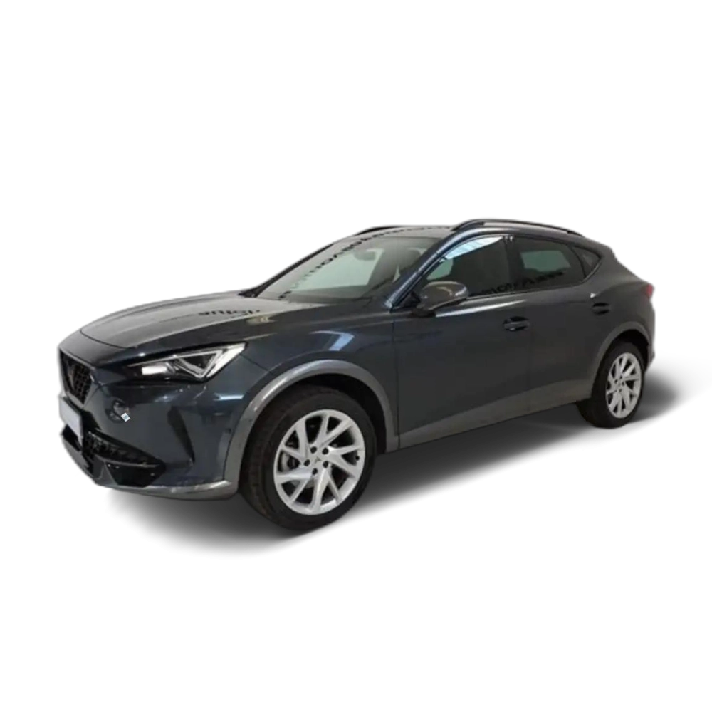 CUPRA Formentor 2.0 TDI 110 kW Gris