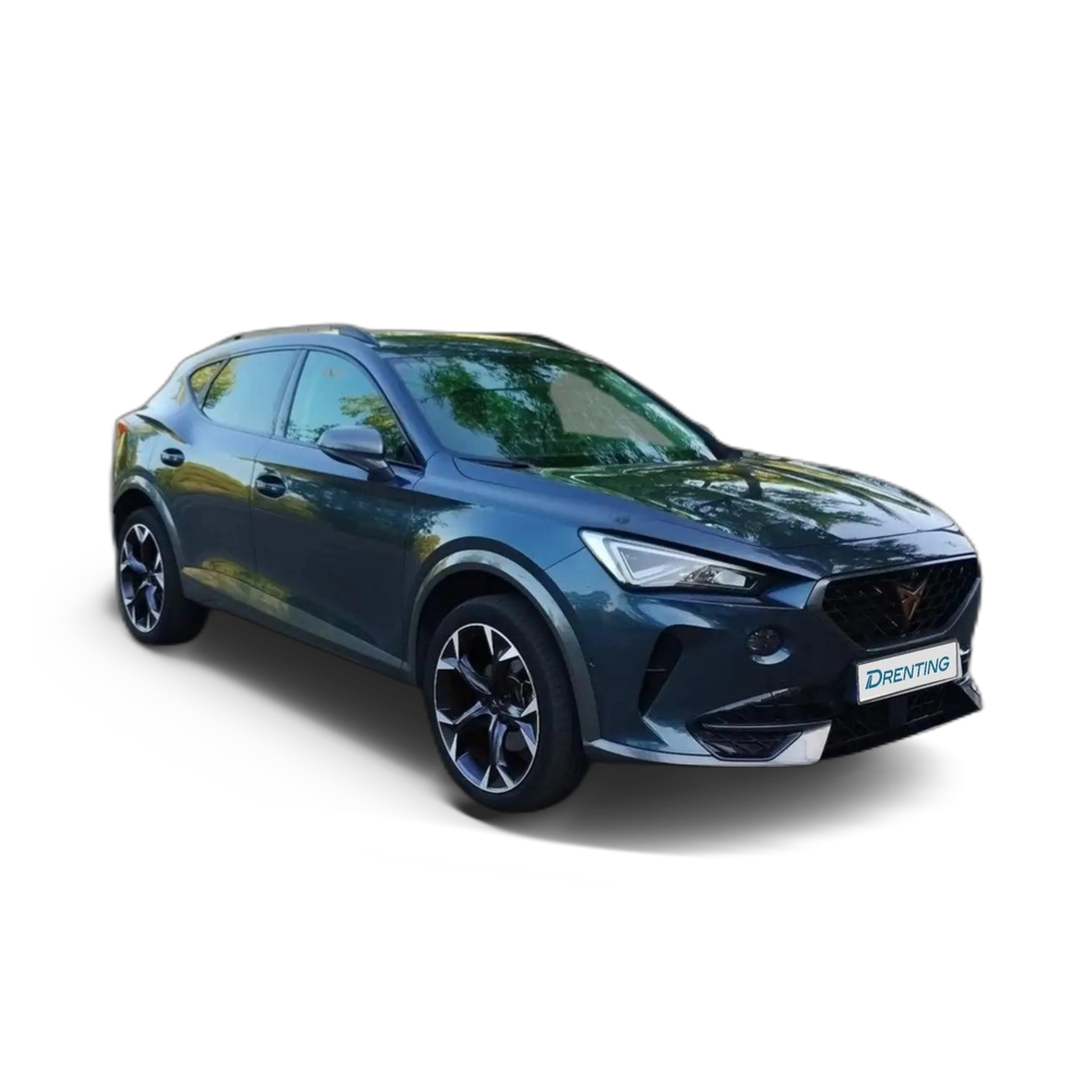 CUPRA Formentor 2.0 TDI 150 DSG 4Drive Gris 1