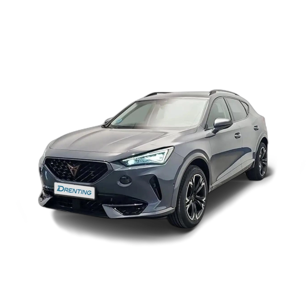 CUPRA Formentor 2.0 TSI 190 DSG 4Drive Gris