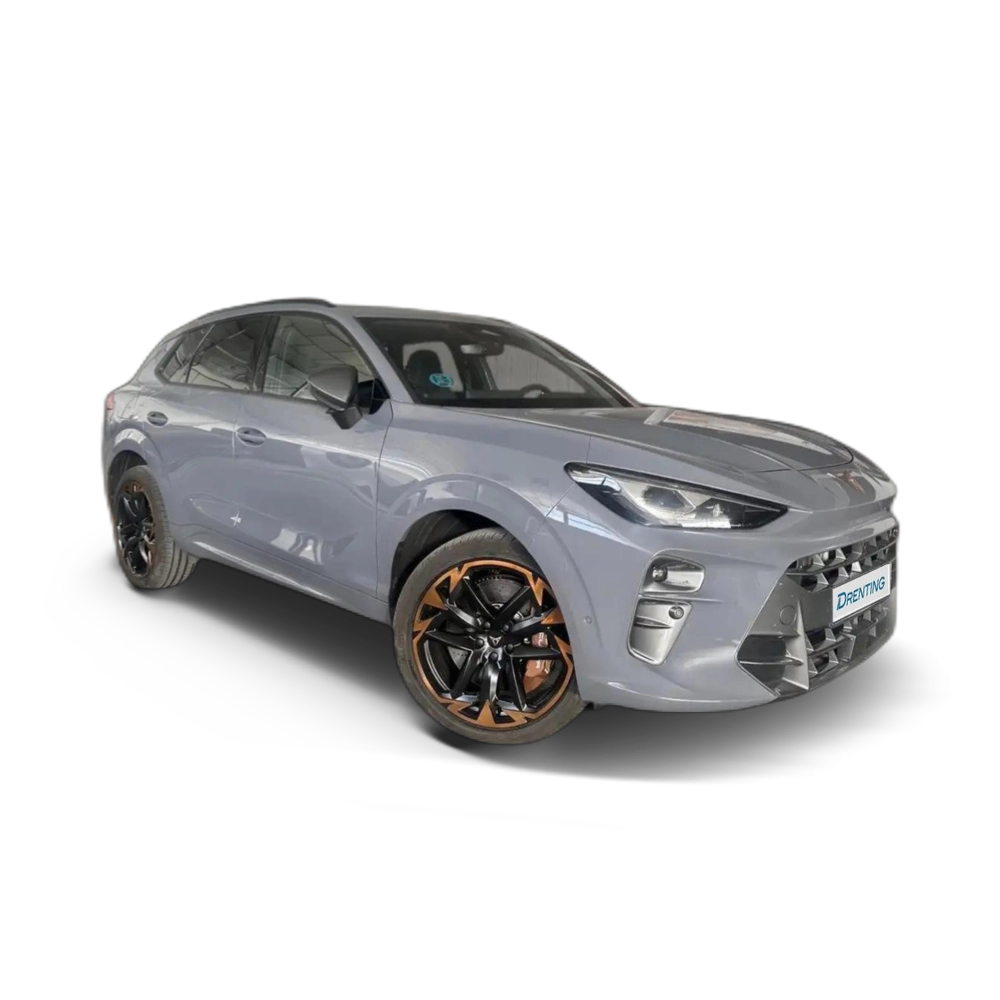 CUPRA Terramar 2.0 TSI VZ 195kW DSG 4Drive Gris 1