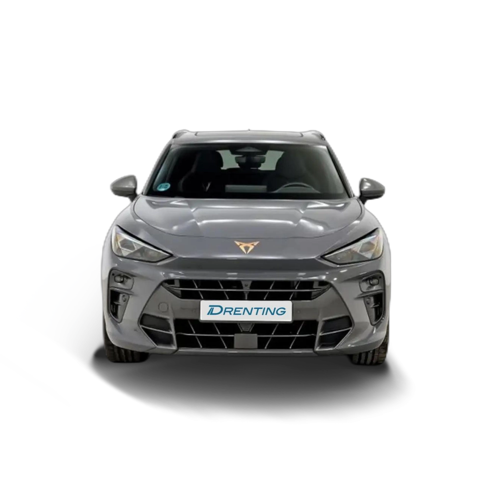 Renting CUPRA Terramar 2.0 TSI VZ 195kW DSG 4Drive Gris 2
