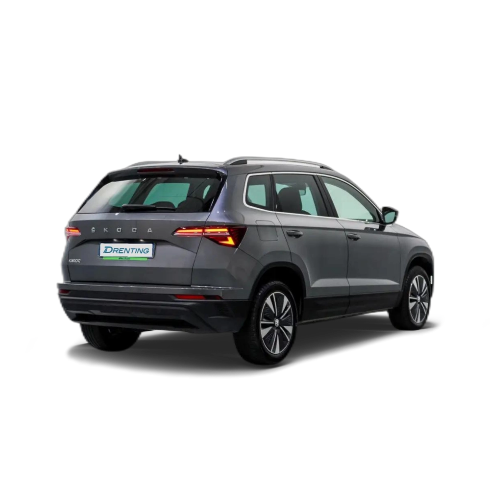 Skoda Karoq 2.0TDI Adblue Ambition 85kW Gris 7