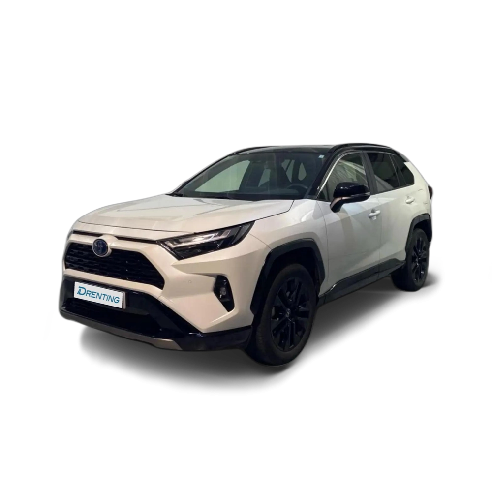 Toyota RAV4 2.5 hybrid 4WD Style 1