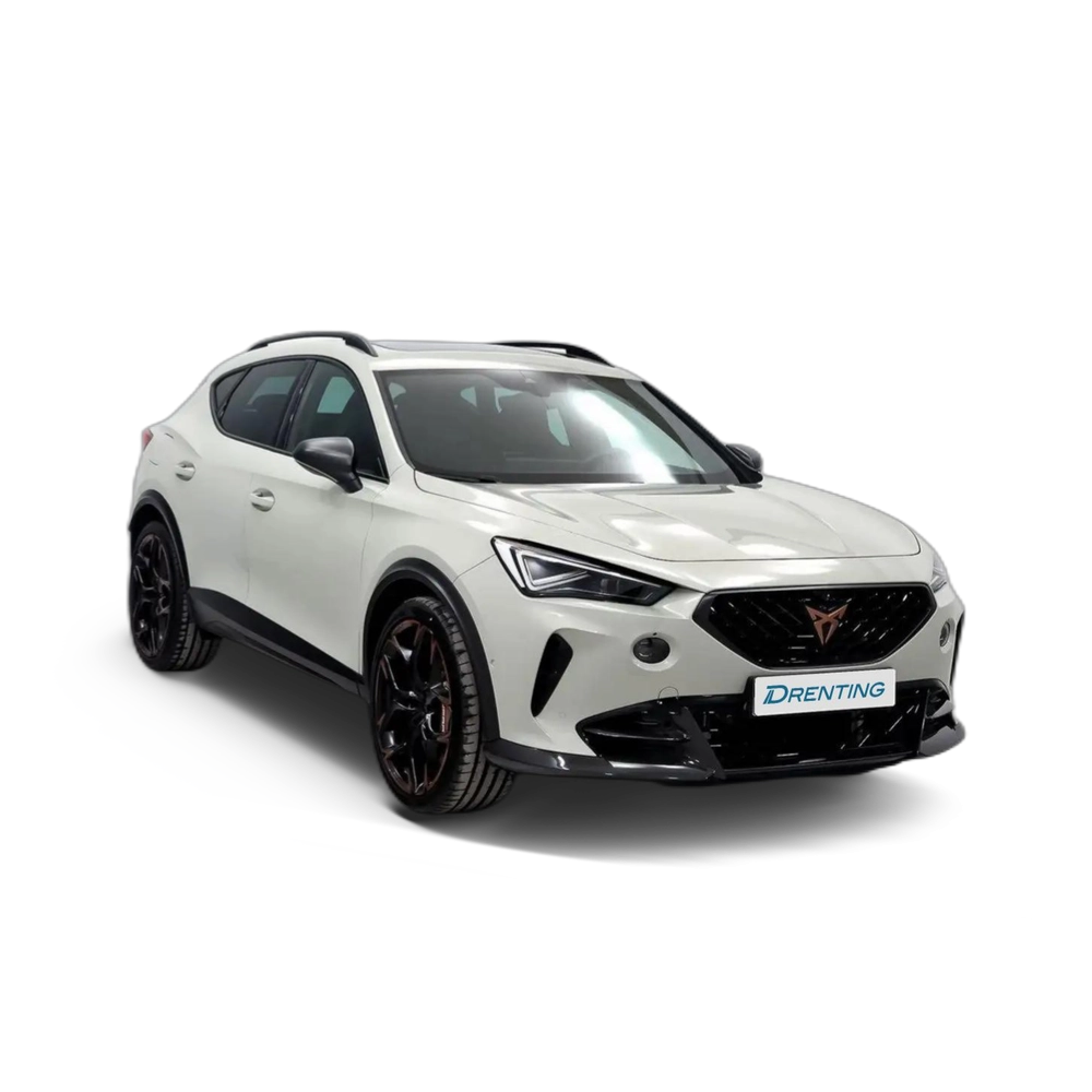 CUPRA Formentor 2.5 TSI 390 VZ5 DSG 4Drive Gris 2