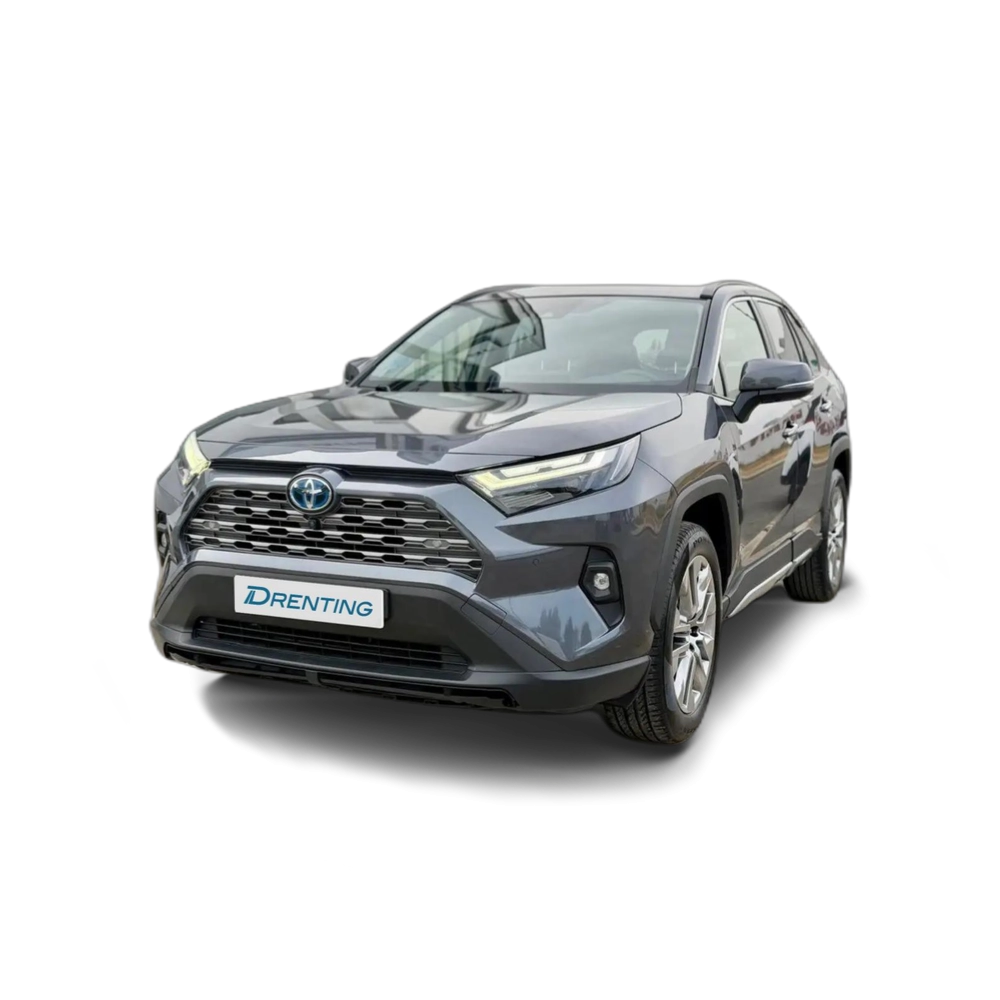 Renting Toyota RAV4 2.5l 220H Luxury Burdeos