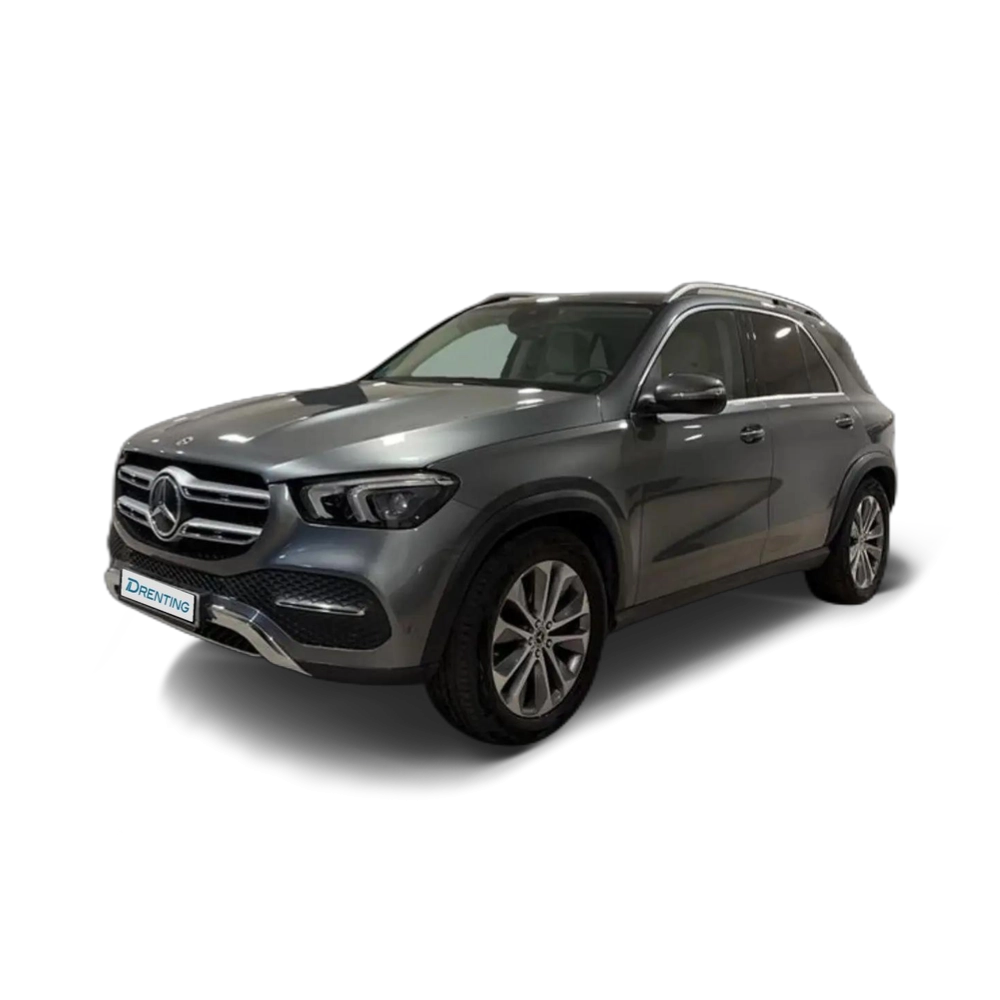 Mercedes-Benz GLE 300 300d 4Matic Aut. Gris 1
