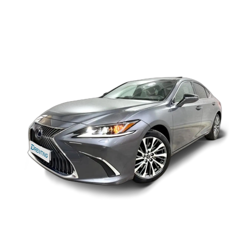 Renting Lexus ES 300 300h Premium Gris