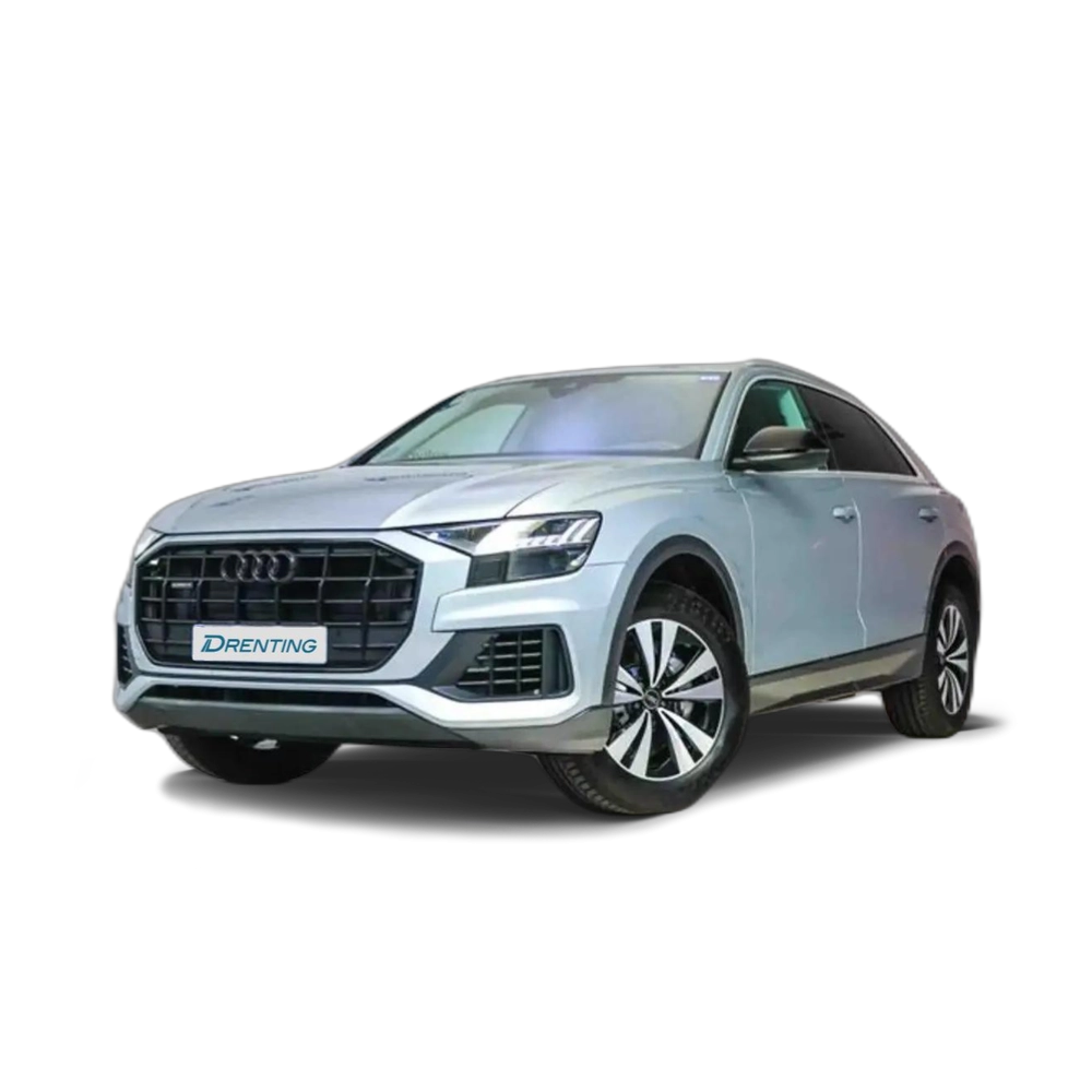 Renting Audi Q8 50 TDI 210kW (286CV) quattro tiptronic Gris 1