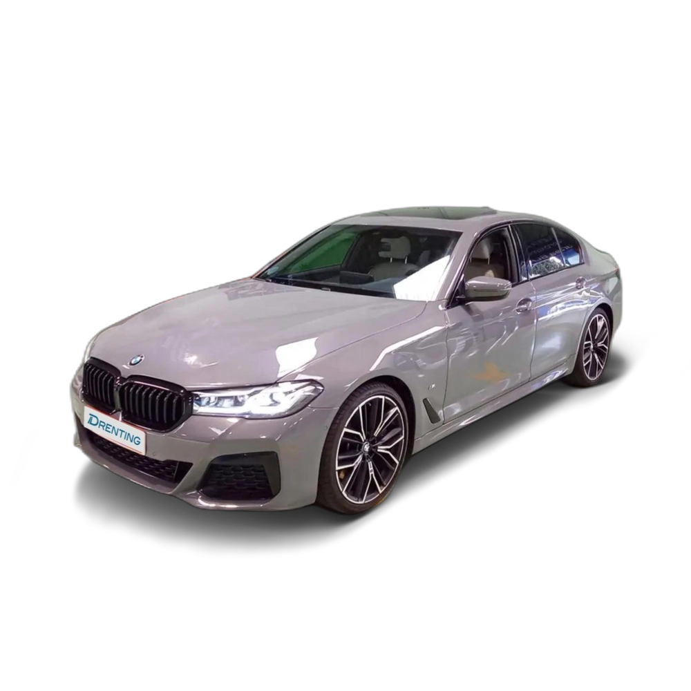 BMW 540 540dA xDrive Gris