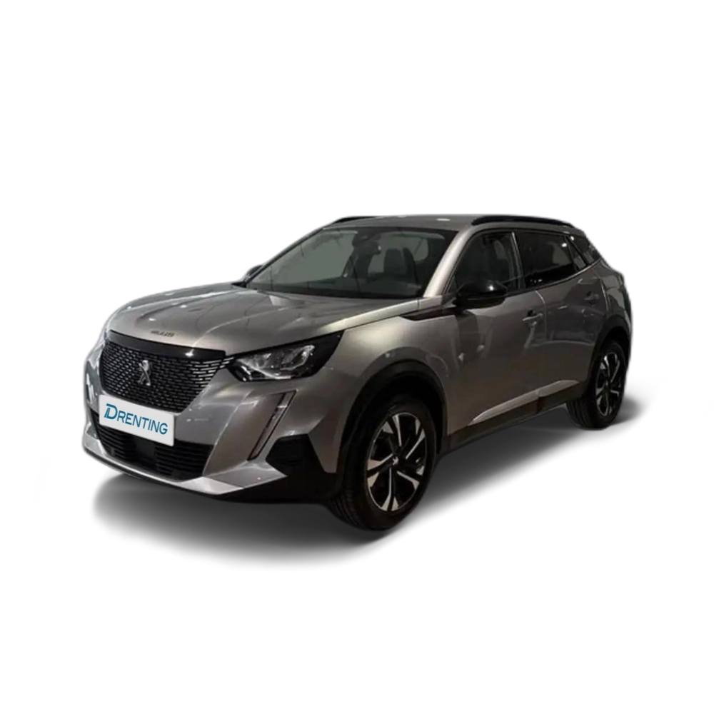 Peugeot 2008 BlueHDI 81kW (110CV) Allure Pack Gris
