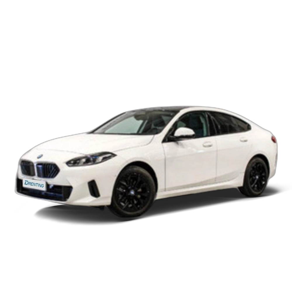 BMW Serie 2 220d Gran Coupe 120 kW (163 CV) 12 1