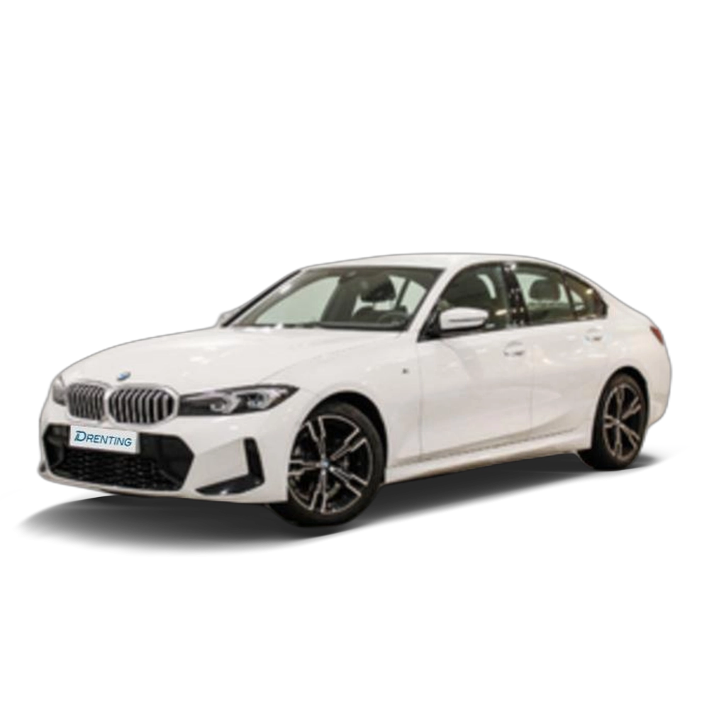 BMW Serie 3 318d 110 kW (150 CV) 21 2