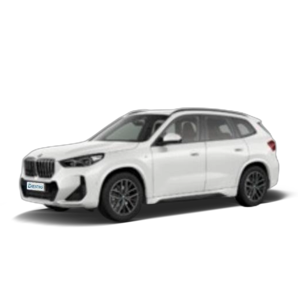 BMW X1 sDrive18d 110 kW (150 CV) 17 1