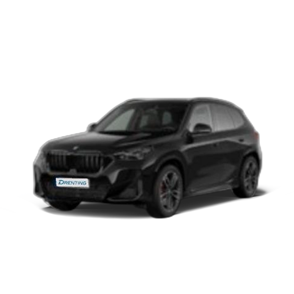 BMW X1 sDrive20d 120 kW (163 CV) 11