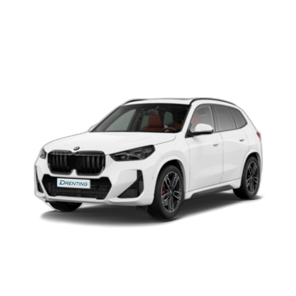 BMW X1 sDrive20d 120 kW (163 CV) 11 1