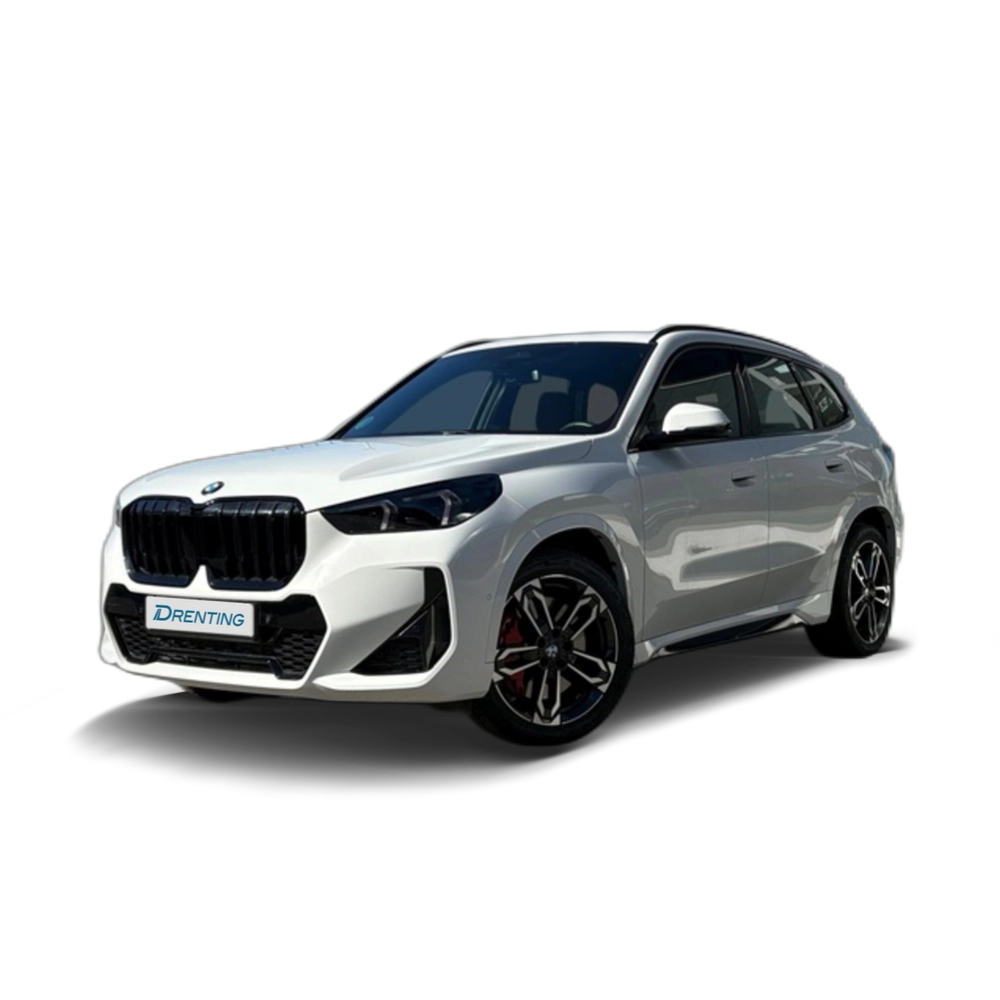 BMW X1 sDrive20d 120 kW (163 CV) 11 4