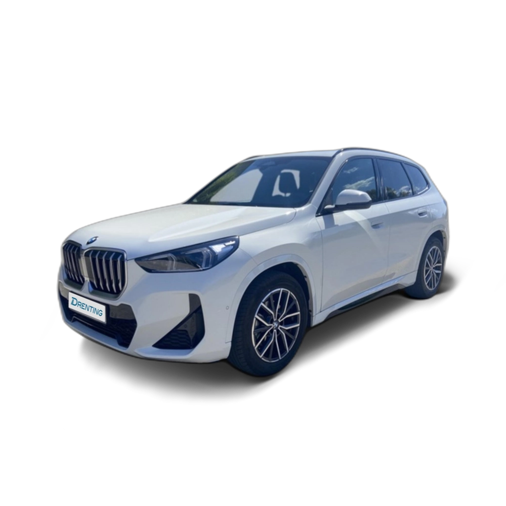 BMW X1 sDrive20d 120 kW (163 CV) 11 6