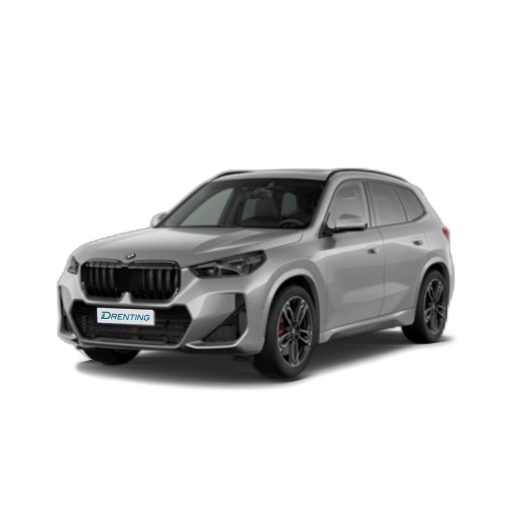 BMW X1 sDrive20d 120 kW (163 CV) 11 9