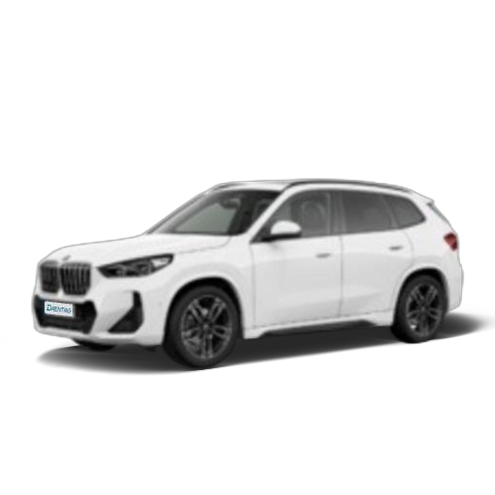 BMW X1 sDrive20d 120 kW (163 CV) 11 10