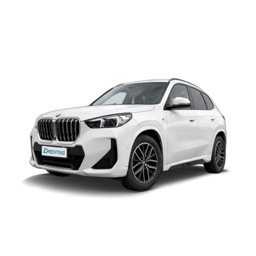 BMW X1 sDrive20d 120 kW (163 CV) 11 11
