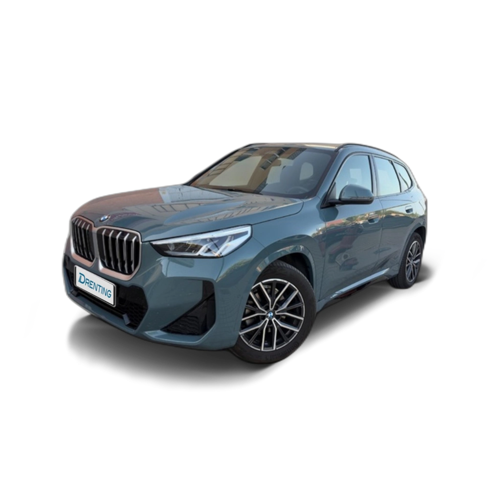 BMW X1 sDrive20d 120 kW (163 CV) 22 1