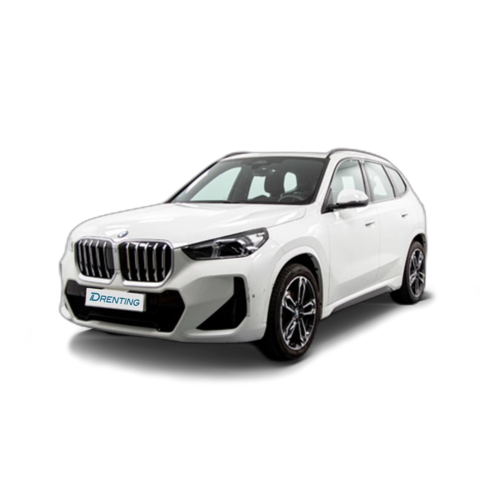 BMW X1 sDrive20d 120 kW (163 CV) 26