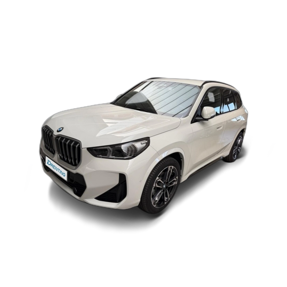 BMW X1 xDrive20d 120 kW (163 CV) 13