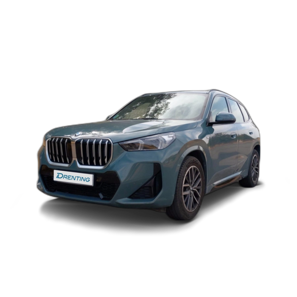 Renting BMW X1 xDrive20d 120 kW (163 CV) 21