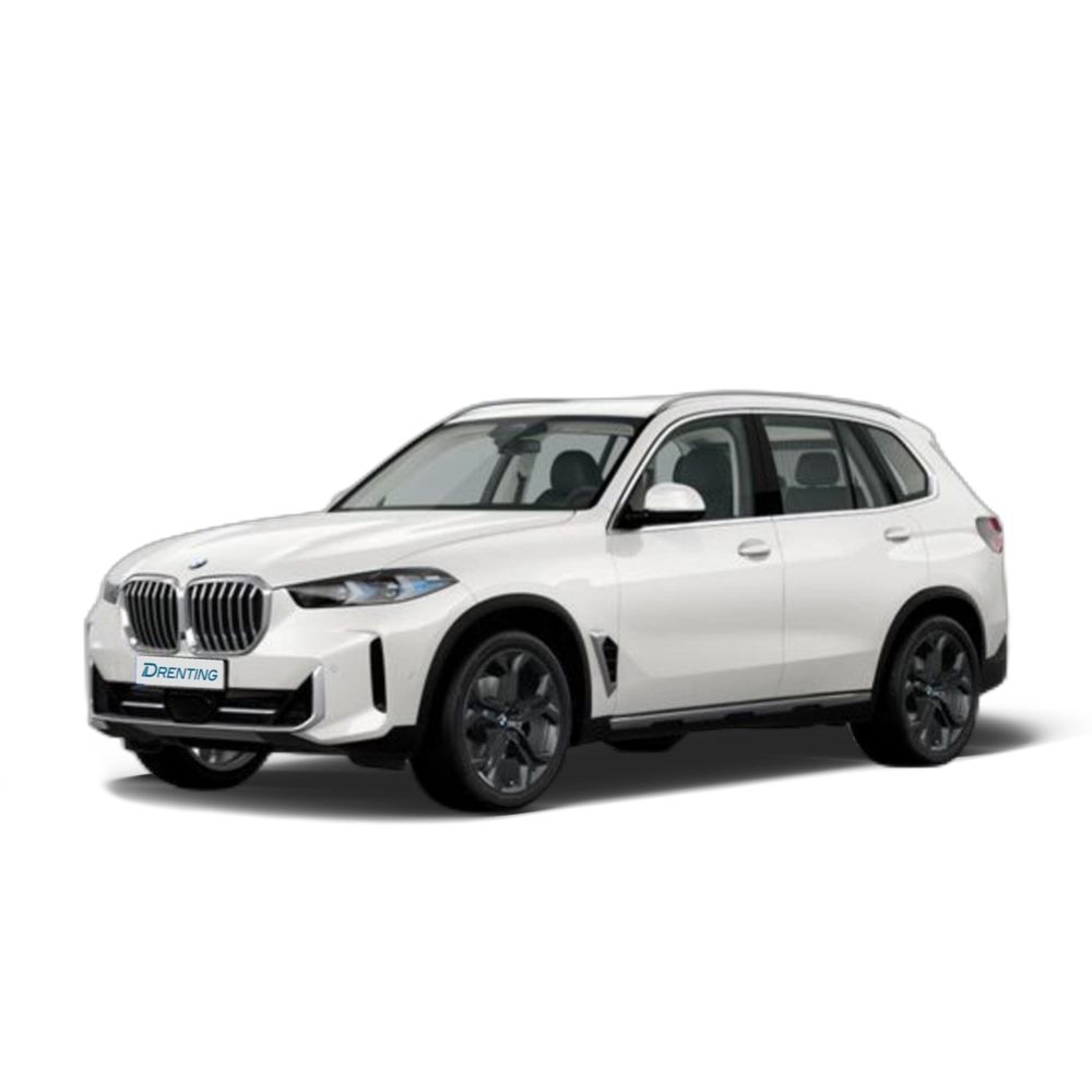 BMW X5 xDrive30d xLine 219 kW (298 CV) 15