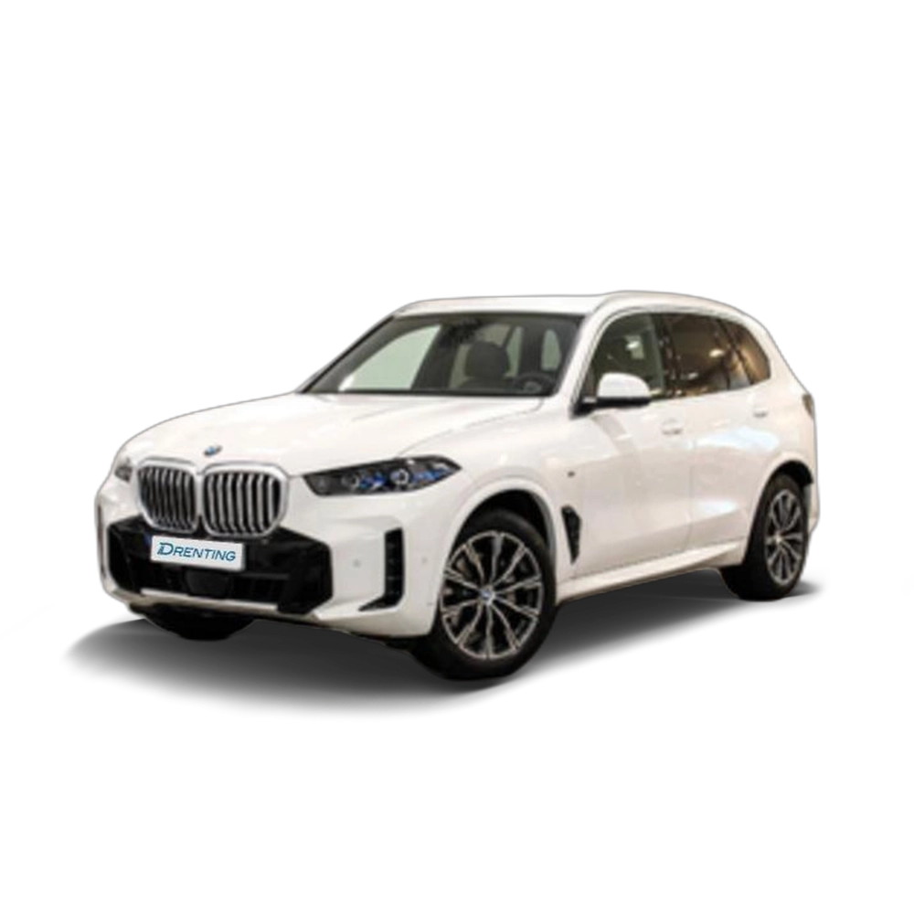 BMW X5 xDrive30d xLine 219 kW (298 CV) 18