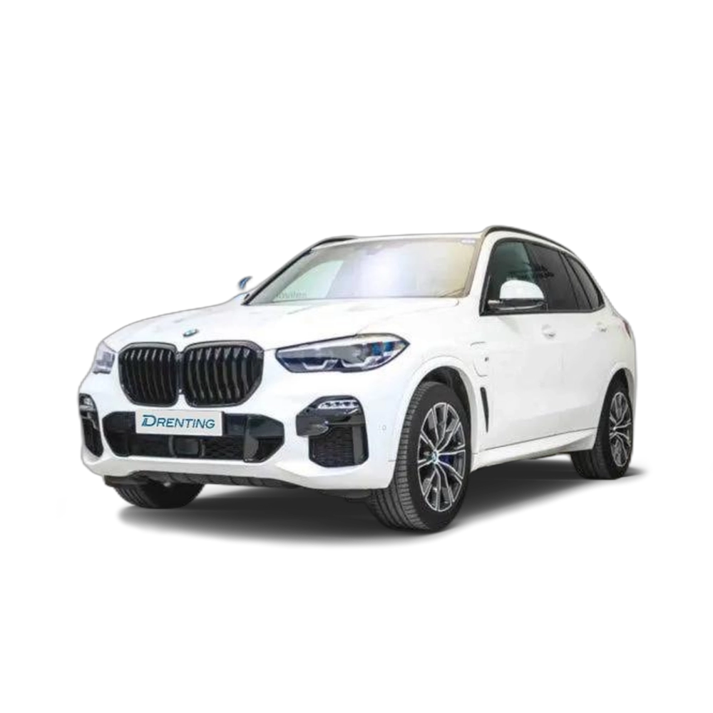 Renting BMW X5 xDrive45e 1 1