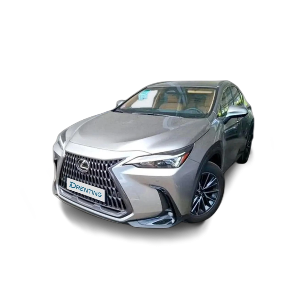 Renting Lexus NX 450h+ Executive 4WD Gris