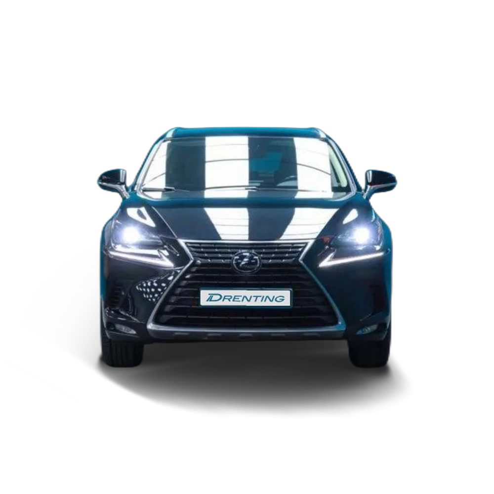 LEXUS NX 300h Executive Navigation 4WD