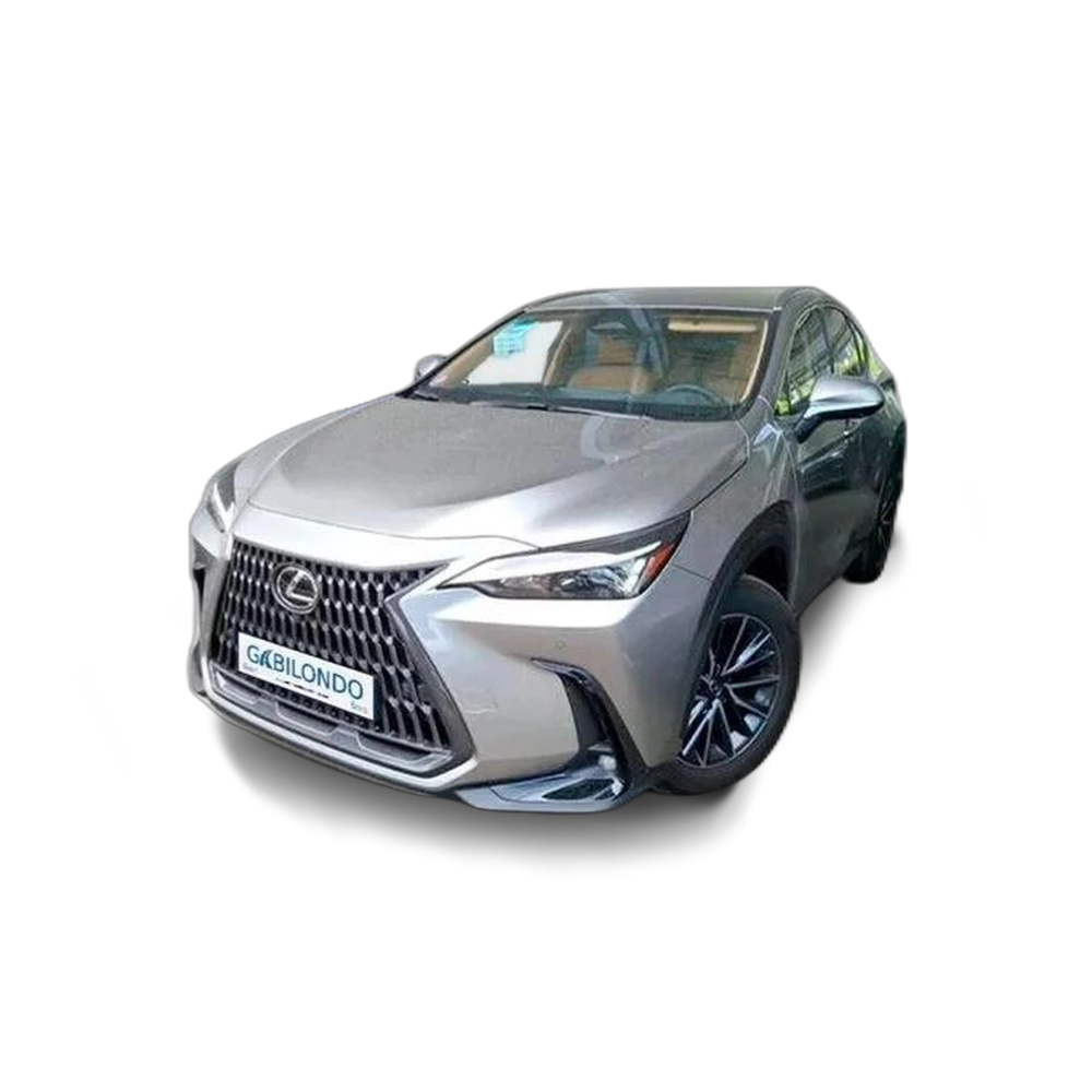 Renting LEXUS NX 450h+ Executive 4WD