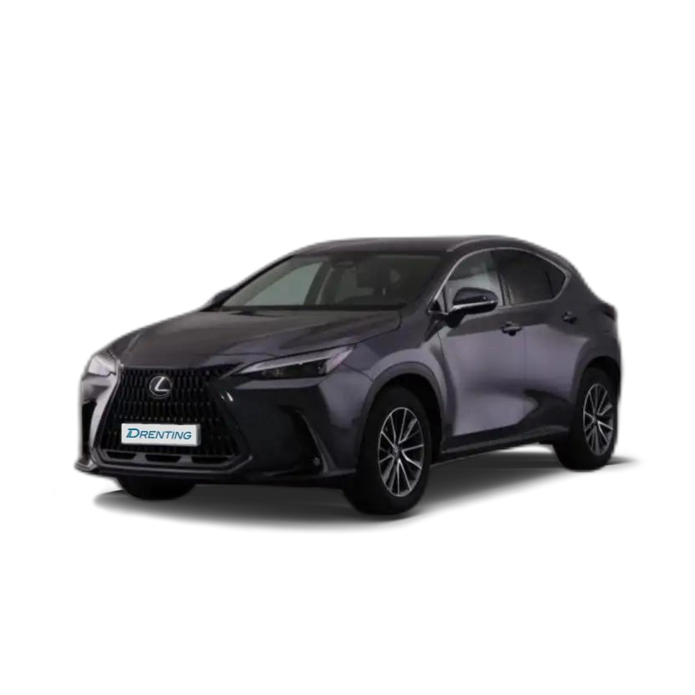Renting Lexus NX 450h+ Premium+ 4WD Gris 1