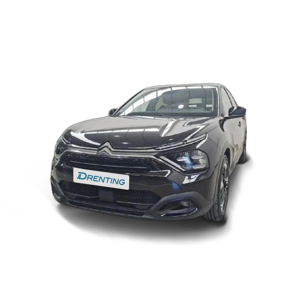 Citroen C4 PureTech 130 S&S 6v Plus Gris 1