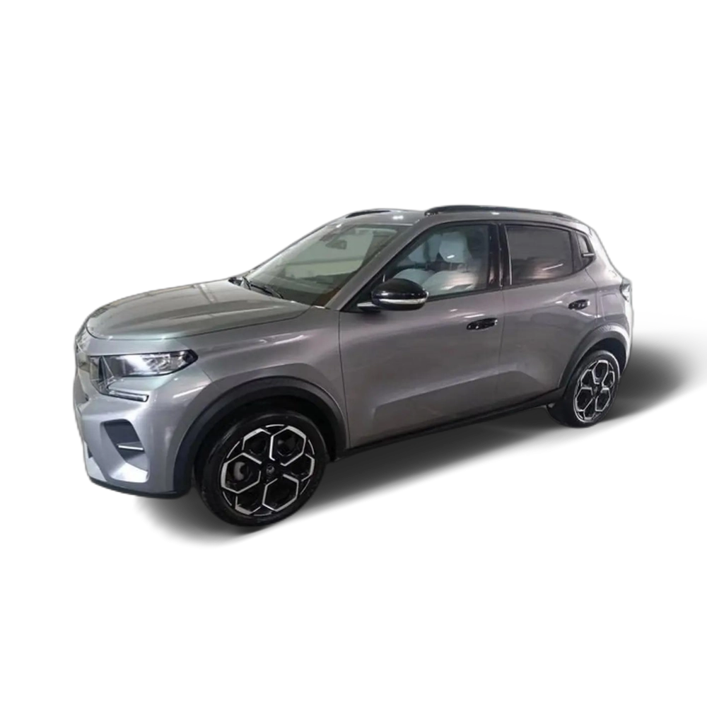 Citroen C3 Turbo 100 Max Gris 1