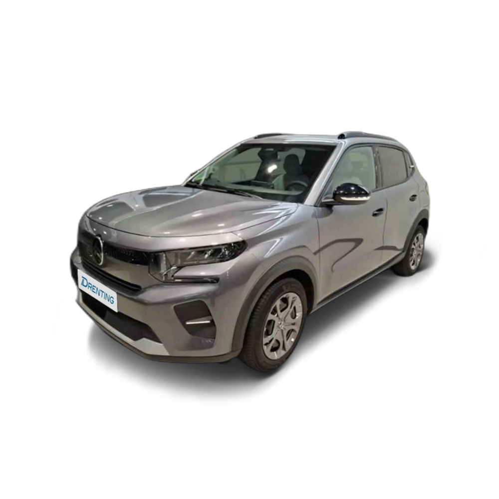 Citroen C3 Turbo 100 Max Gris 3