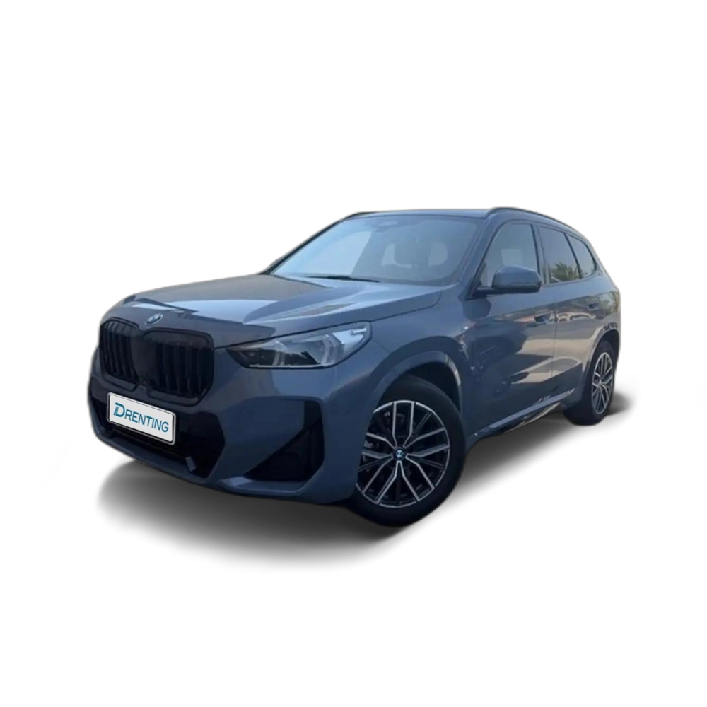 Renting BMW X1 xDrive 20dA Gris