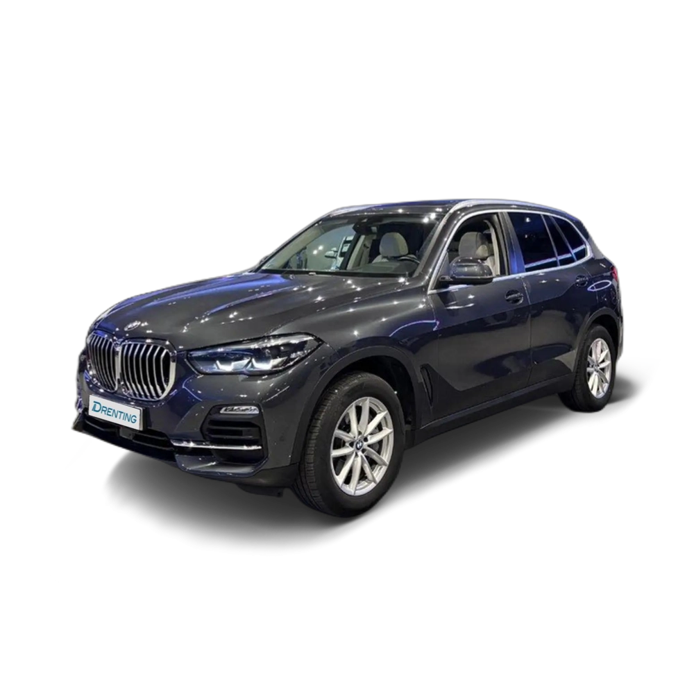 BMW X5 xDrive 40iA Gris
