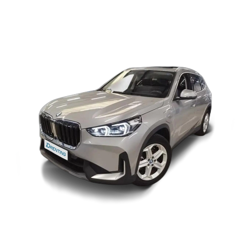 BMW X1 xDrive25e Gris