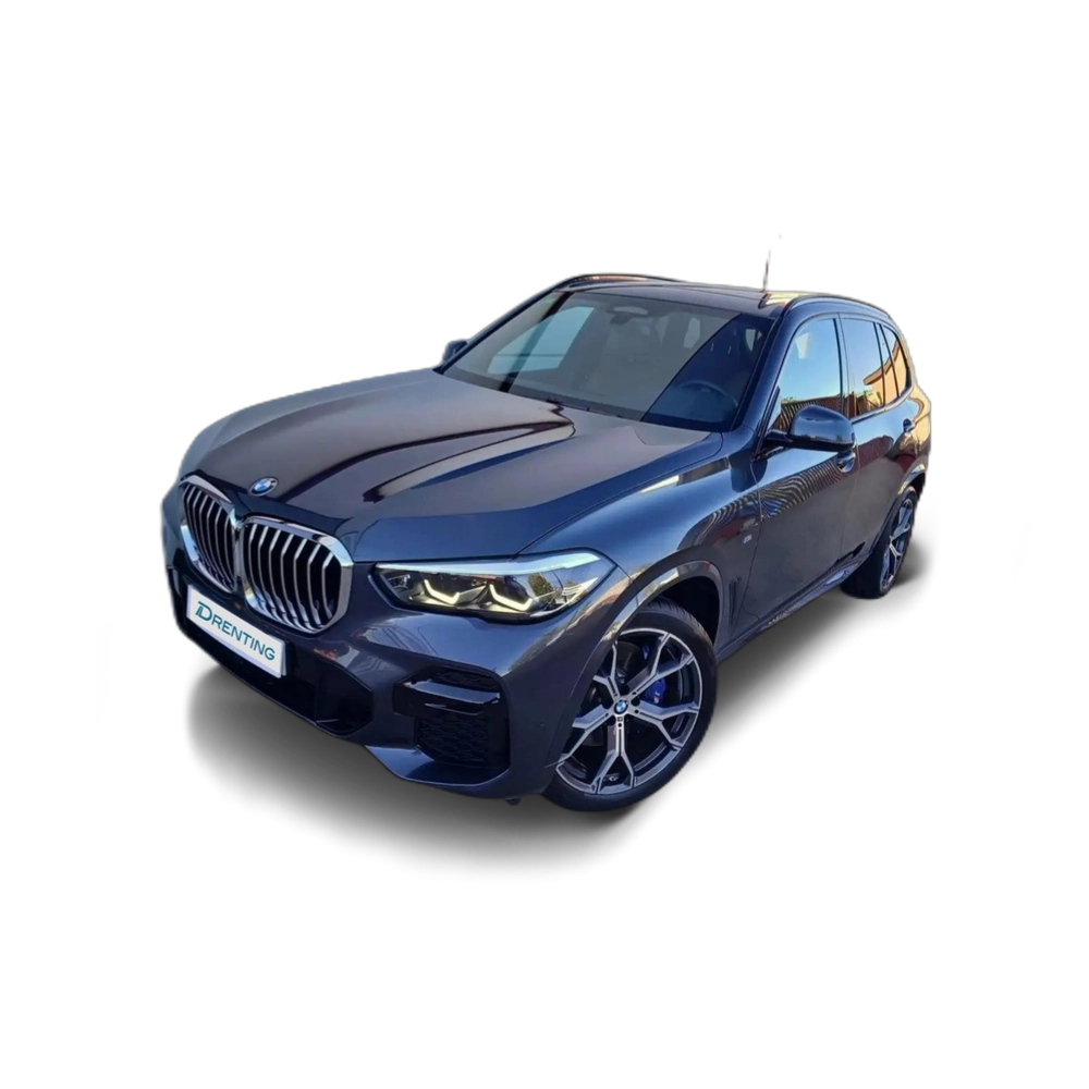BMW X5 xDrive30d Gris