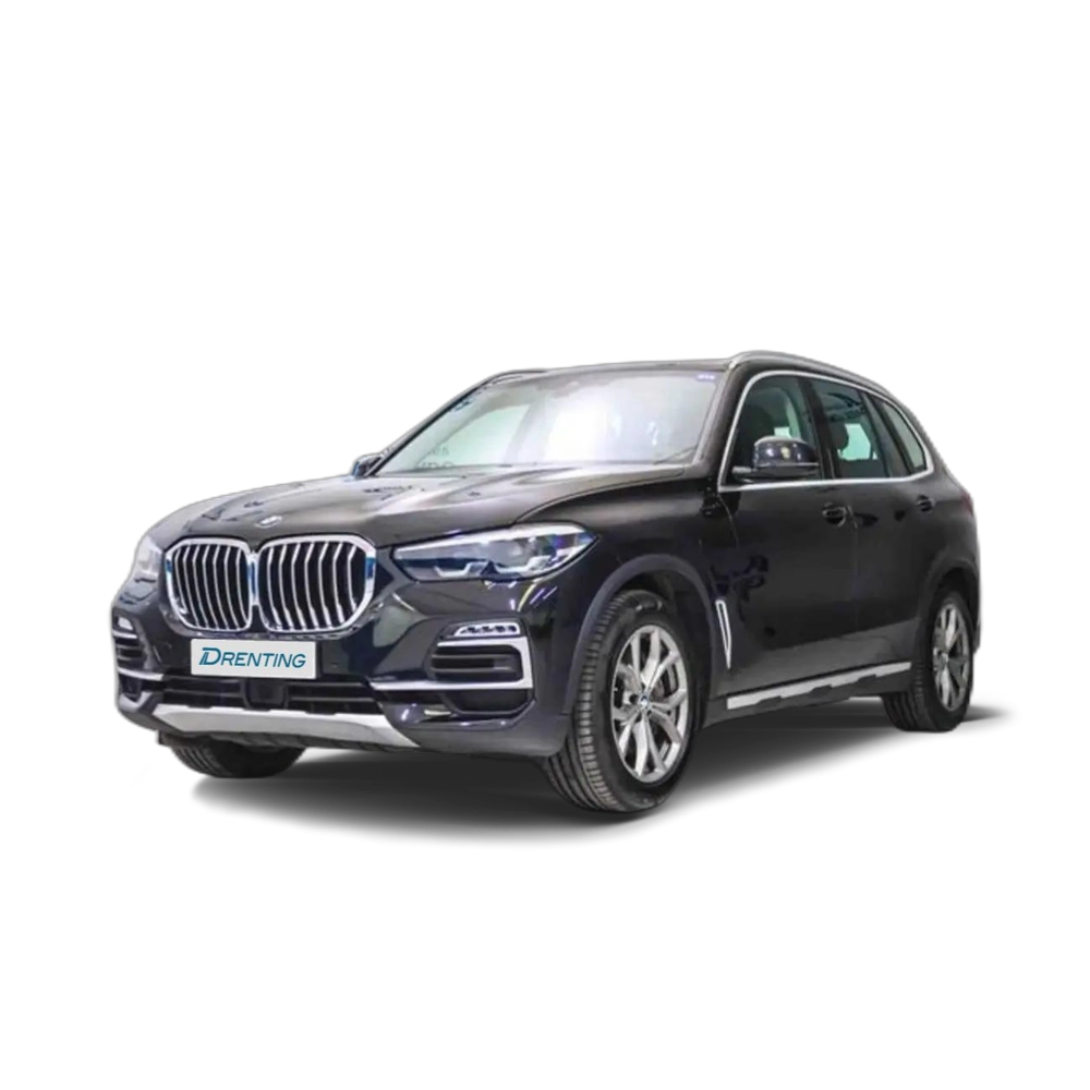 BMW X5 xDrive45e Negro