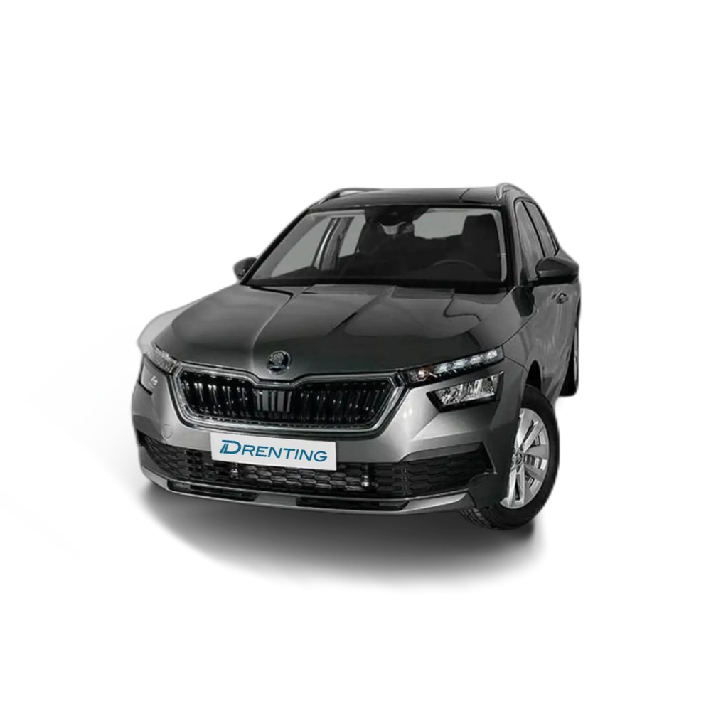 Skoda Kamiq 1.0 TSI Ambition 70kW Gris
