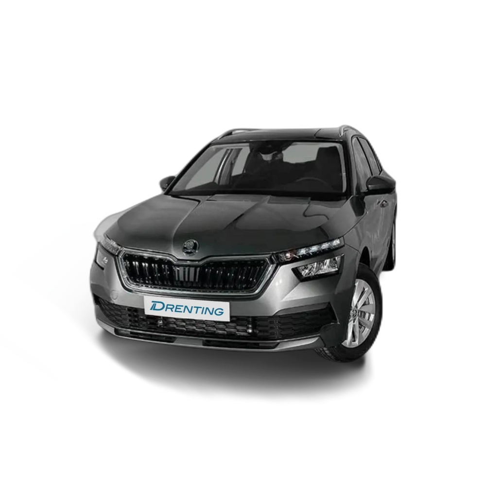 Skoda Kamiq 1.0 TSI Ambition 81kW Gris