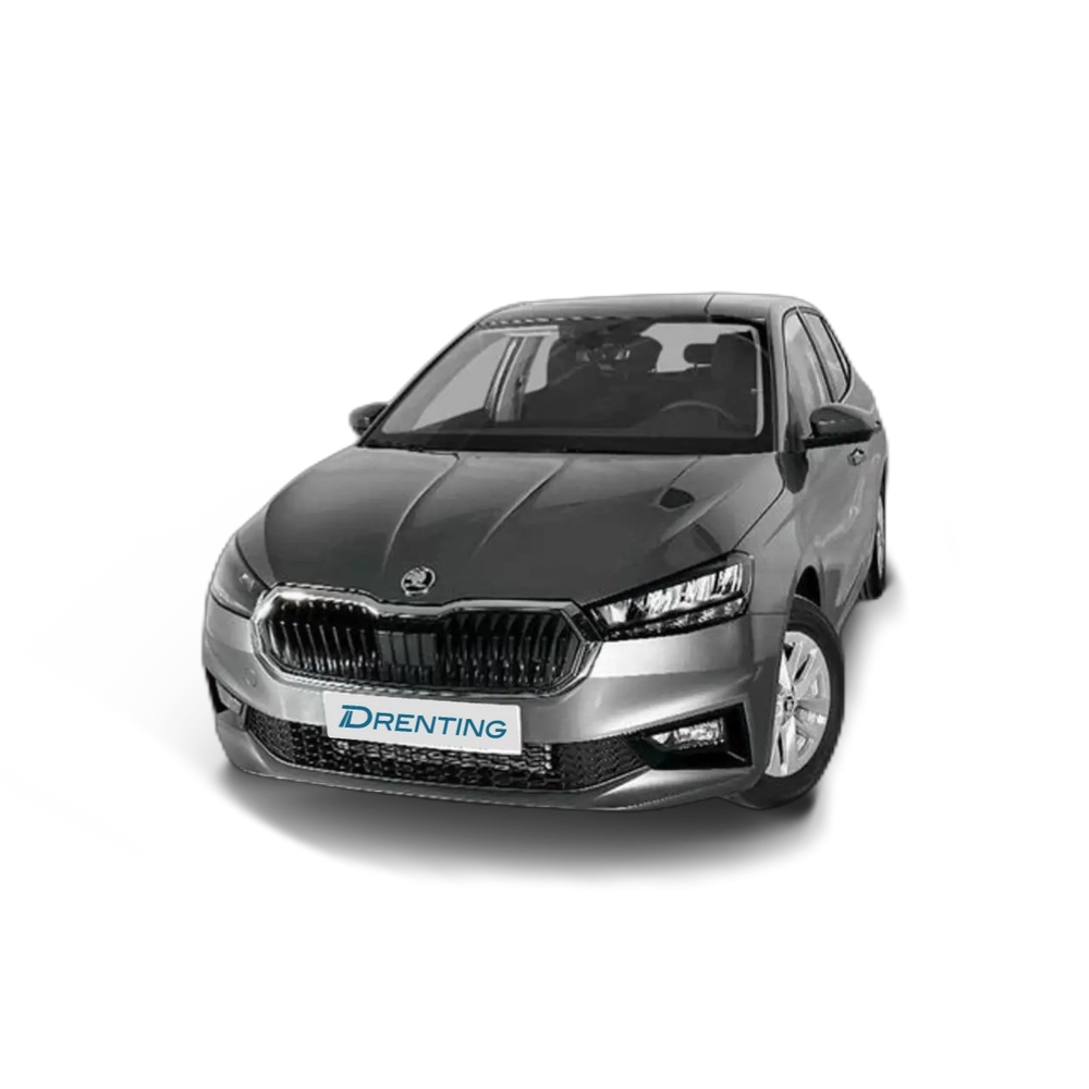 Skoda Fabia 1.0 TSI Ambition DSG 81kW Gris