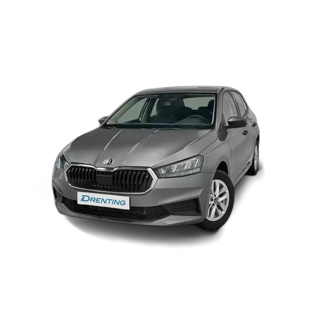Skoda Fabia 1.0 TSI Essence 70kW Gris 1