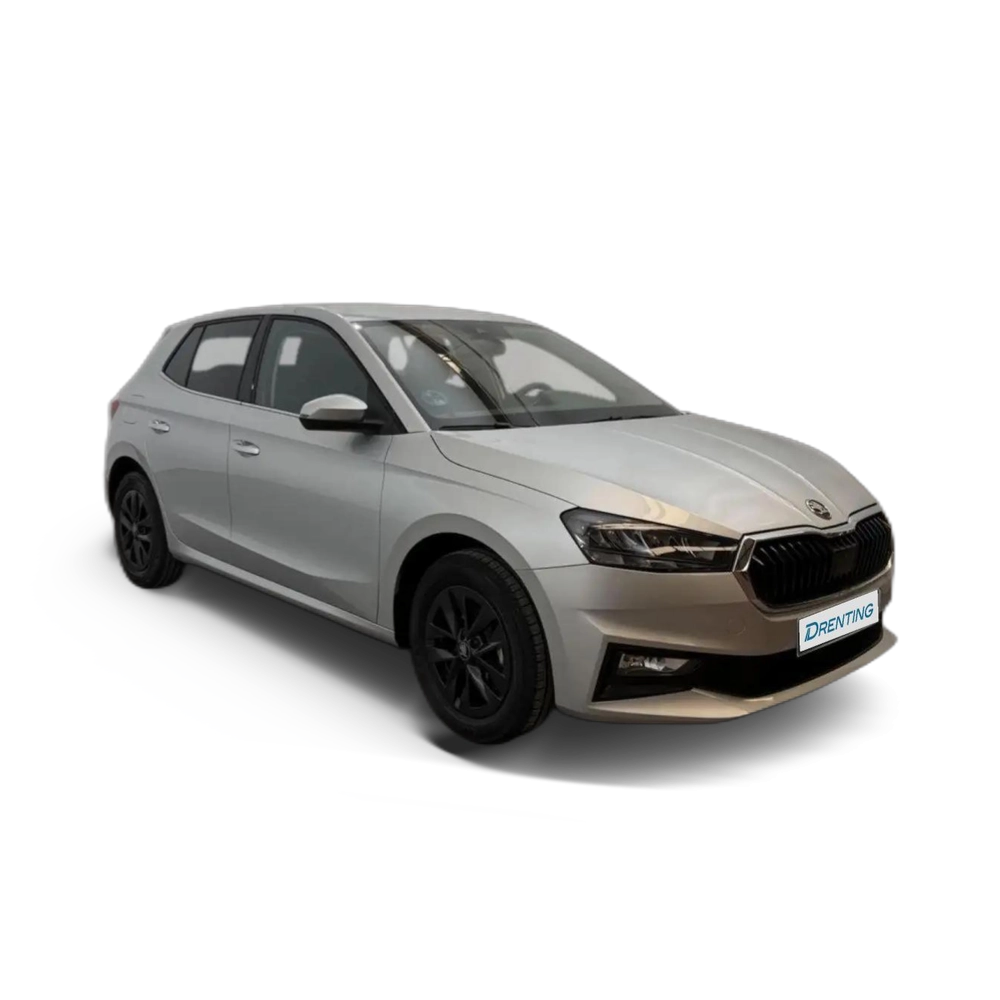 Skoda Fabia 1.0 TSI Selection 70kW Gris 1