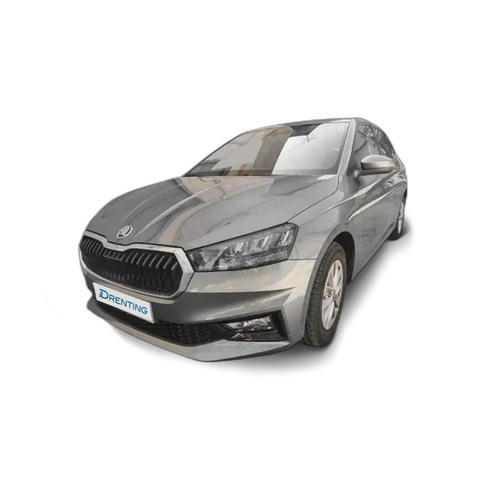 Skoda Fabia 1.0 TSI Selection 70kW Gris 3 1